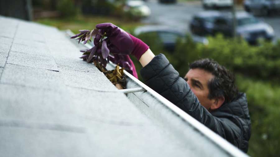 Gutter Cleaning In Lakewood